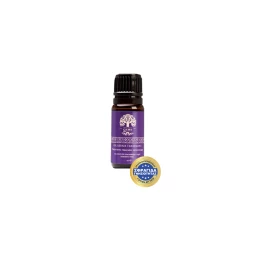 ELEGANCE ARGAN ΨΗΦΙΑΚΗ ΠΡΕΣΑ ΜΑΛΛΙΩΝ 230οC (Thumb 18)