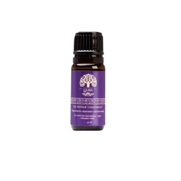 ELEGANCE ARGAN ΨΗΦΙΑΚΗ ΠΡΕΣΑ ΜΑΛΛΙΩΝ 230οC (Thumb 8)