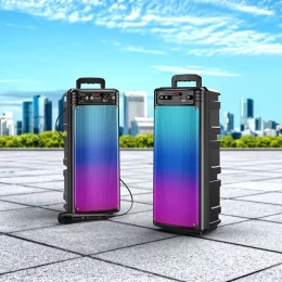 Φορητό Ηχείο Wireless BT V5.0 2x10W 2200mAh USB 3.5mm και Micro-SD με Ενσύρματο Μικρόφωνο (Thumb 5)