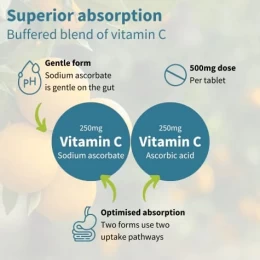 Βιταμίνη C χωρίς ζάχαρη, μασώμενο δισκίο 500mg 120tabs Igennus (Thumb 3)